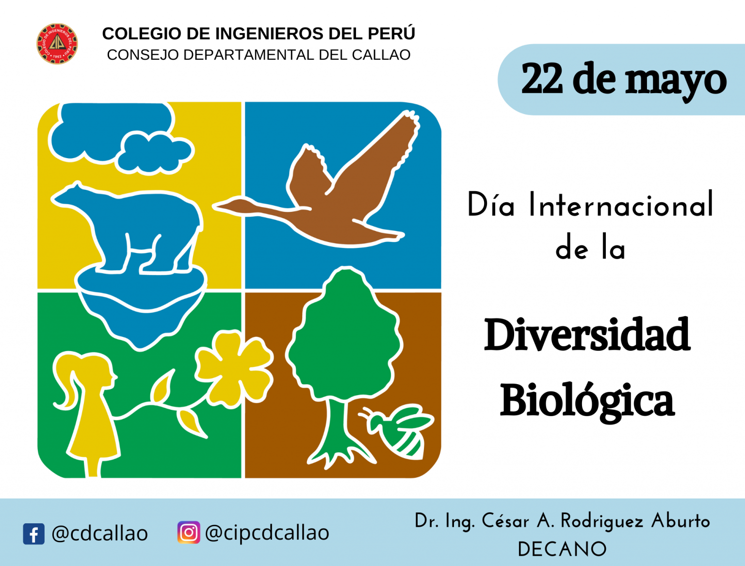 De Mayo De D A Internacional De La Diversidad Biol Gica